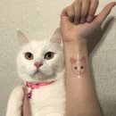 투게더피부과의원 | [내돈내산] 신사 / 홍대 타투 제거 후기 - 1회차