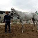 카우보이 이미지