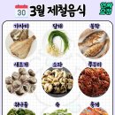 해초롱 이미지