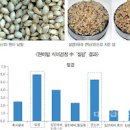 현미 효능 칼로리 부작용 현미밥 현미차 발아현미 이미지