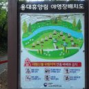 용대자연휴양림캠핑장 | 인제 용대자연휴양림 캠핑장