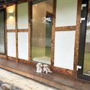 복터진 강아지 | 강릉 설송하녹, 안목해변 애견동반 한옥개조 펜션 내돈내산 추천 후기 아쉬운점