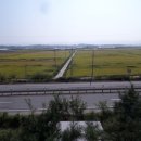 동대전농협 앞 이미지