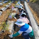 대길초등학교 이미지