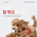 노형동물병원 이미지