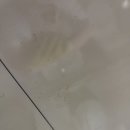 율하서희스타어린이집 | 김해 율하 서희스타힐스 이사청소 후기