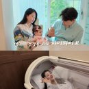 박진홍 | 친형은 징역형, 형수는 집행유예? 박수홍 5년 피눈물 닦아준 대법원 판결