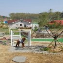 Dogi Dogi(도기도기) 이미지