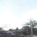 장용수 농장 이미지