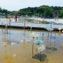 유리섬미술관 이미지