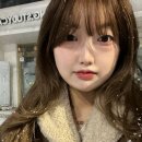 네일바이수이 | 2026카테고리를만드는때가오다니