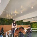 대덕승마장 | 대구 체험승마 가능한 [ 대덕승마장 ] 승마를 배워보고 싶은 사람들에게 강력추천