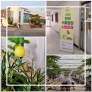 농업기술센터첨단농업관 | 청주시 반려식물병원 체험기 킹 레몬 농업기술센터 입원 치료 식집사 필수 정보