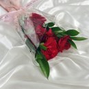 유니정원 | 카네이션 생화 꽃다발 추천｜기념 감사 카네이션 꽃다발 5송이 유니정원 카네이션