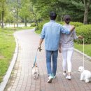 신도안동물병원 이미지