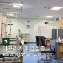 종로이화약국 | 아프리카 여행 준비 황열병 말라리아 파상풍(준비물)