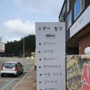 배부른고양이 이미지