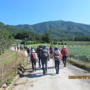 백두대간 44회 : 부리기재-포암산-하늘재, 눈부신 가을축제의 물결 이미지