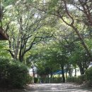 대촌공원 이미지