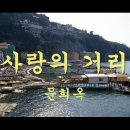 "사랑의 거리" 문희옥 이미지