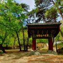 법화1길 입구 이미지