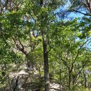 선산대로-32 이미지