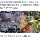 새민주 신재용 책임위원이 동덕여대 사안 관련 모두발언에 대해 단 답글들 이미지