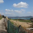 비양도 봄날 민박 이미지