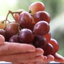 홍주유통 이미지