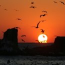 공현진 민박 이미지