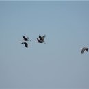 두루미네 이미지