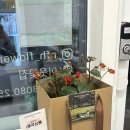 무인18 | 김해 율하 이웃꽃집 집들이 화분 무인픽업 후기