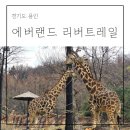 에버랜드 리버트레일 예약 가격 위치 후기