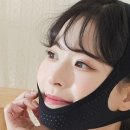 슈입