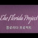 (주)지지킹덤 이미지