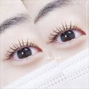 래쉬끌레르 | 왕십리 속눈썹 끌레르래쉬 방문후기입니다
