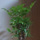 명지대학교 사회복지대학원 이미지