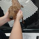 미용해·독 이미지