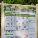 힐링애견 이미지