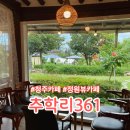 361 | 청주 카페 추학리361 수국 포토존 한옥카페 후기