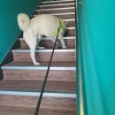 아이파크 동물병원 이미지