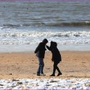 백야바다 이미지