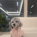 송파역1번출구(앞) 이미지