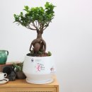 채움소아청소년과의원 이미지