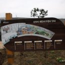 사구센터 전시실 이미지