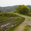 봉선지둘레길 이미지