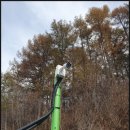 ENELX_천안1 태양광발전소 | 천안cctv 설치 후 솔직 후기 스마트폰 연동과 AI 기능까지