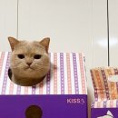 강릉숨숨집 이미지