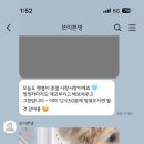 애견미용실 또이쁜댕 네이버블로그