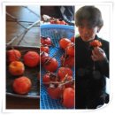 자연의선물 이미지